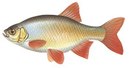 Яуренс - иконка «рыбалка» в Апатитах